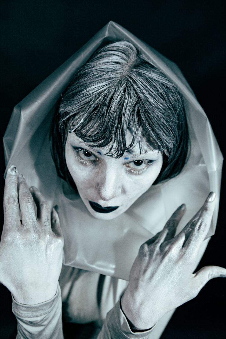 The Veil Of Maya_14-04-245